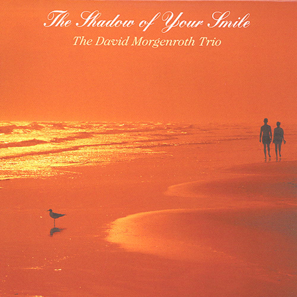 The Shadow of Your Smile by The David Morgenroth Trio